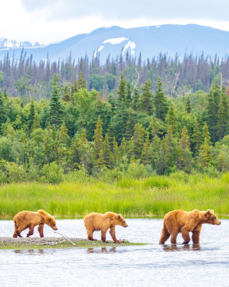 USA is one of The 25 best destinations for ecotourism (2024).