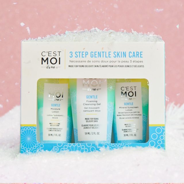 We've compiled our top picks for vegan gifts this holiday season at Vegans, Baby.