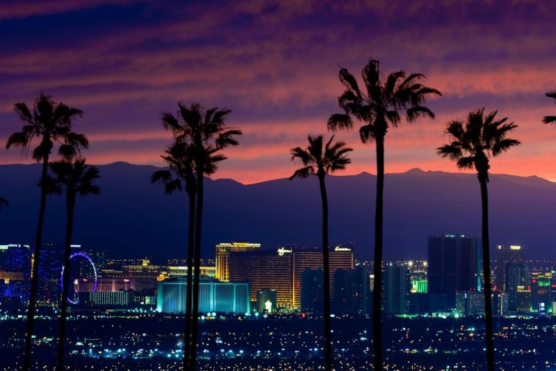 Palm trees silhouetted against a purple and orange sunset overlooking the Las Vegas skyline.