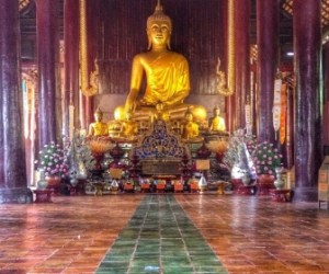 Experience vegan Thailand with Vegans, Baby. For more vegan world tours, visit www.vegansbaby.com