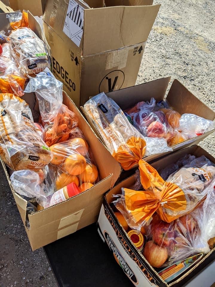 The LasVegan Food Bank is the first vegan food bank in Las Vegas. For more vegan news please visit www.vegansbaby.com