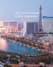 Las Vegas Vegan 3-Day Itinerary (Digital Guide)