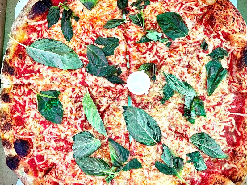 Head to Scarr's for the best slice of NY-style pizza that is vegan in NYC