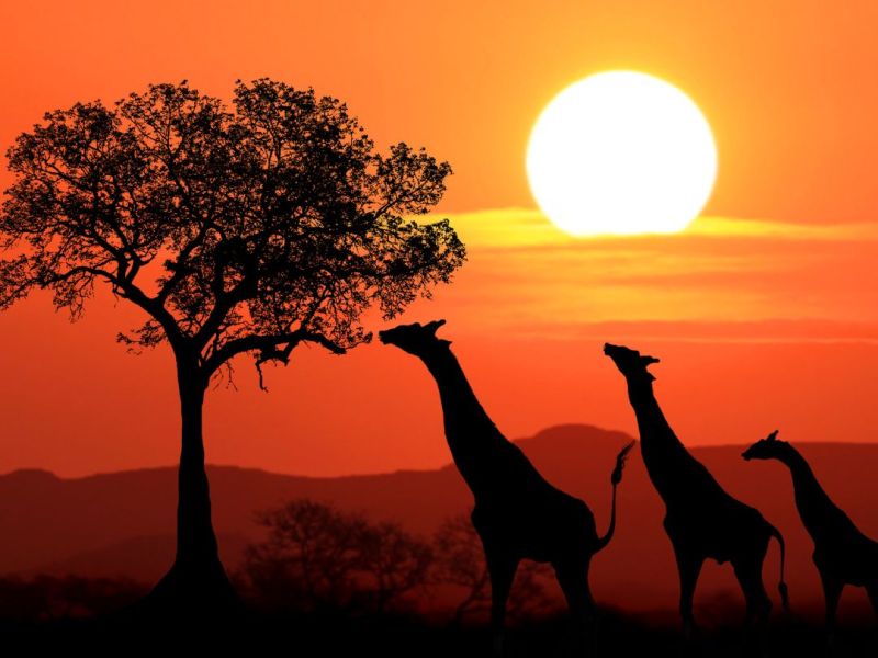 The 25 best destinations for ecotourism (2024)
