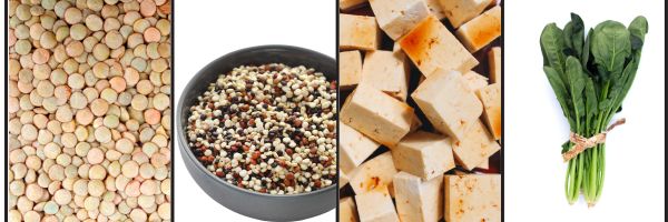 Plant-based protein options