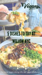 Willow NYC is a vegan restaurant in New York City. These are five dishes to try at Willow. For more vegan dining in New York City visit www.vegansbaby.com