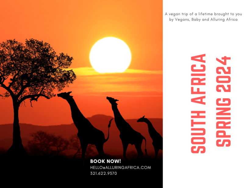 Join Vegans, Baby and Alluring Africa on this award-winning vegan tour to South Africa. For more vegan travel visit www.vegansbaby.com