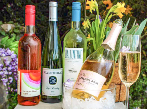 Vegan subscription boxes make a fantastic holiday gift! Here's a look at three vegan subscription boxes to give this holiday season. For more vegan gifts, visit www.vegansbaby.com
